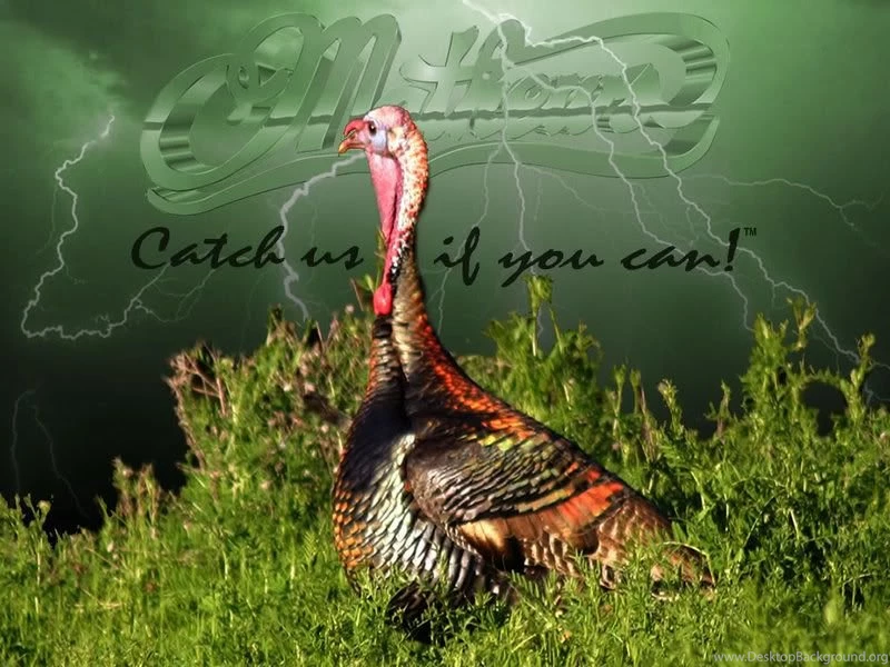 Whats YOUR Favorite Archery Related WALLPAPER!