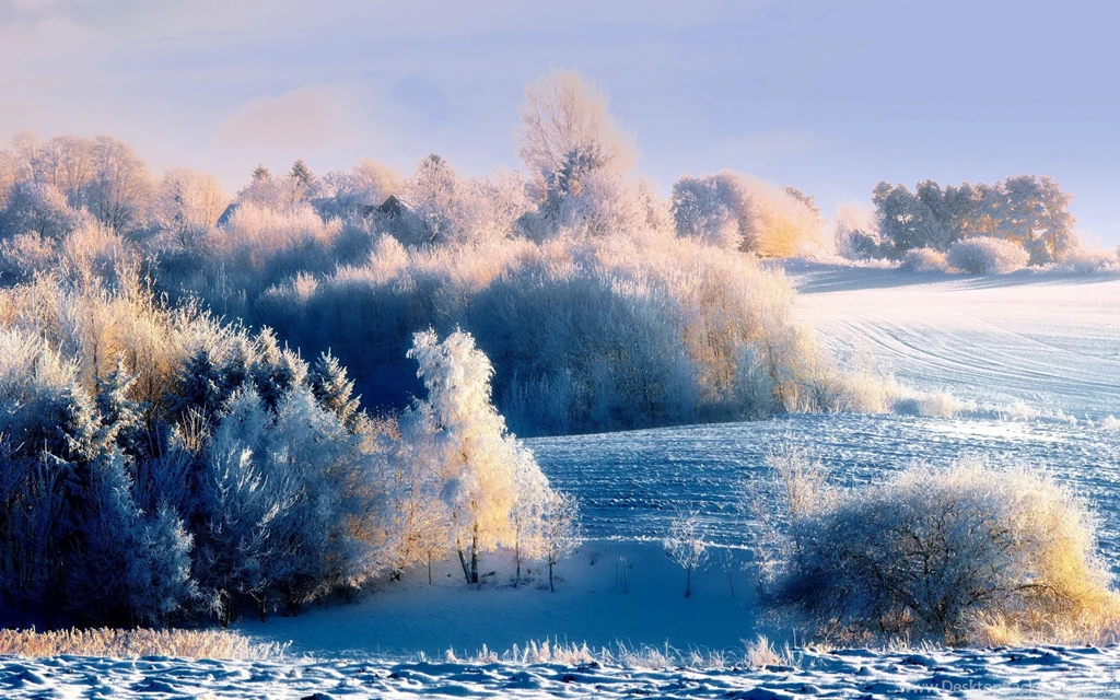 Snowy Hillside Landscape Wallpapers Full HD [2880x1800]   Free ...