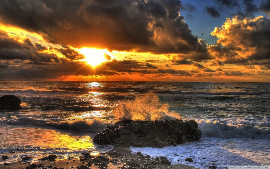 Beach At Sunset Wallpapers Full HD [2560x1600]   Free Wallpapers ...