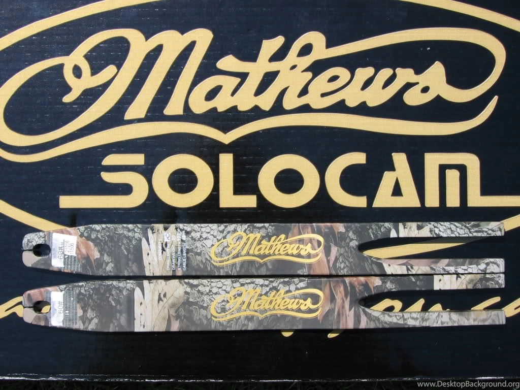 F/S: MATHEWS CONQUEST 3, 4 LIMBS 50 60LB. REALTREE HARDWOODS HD ...