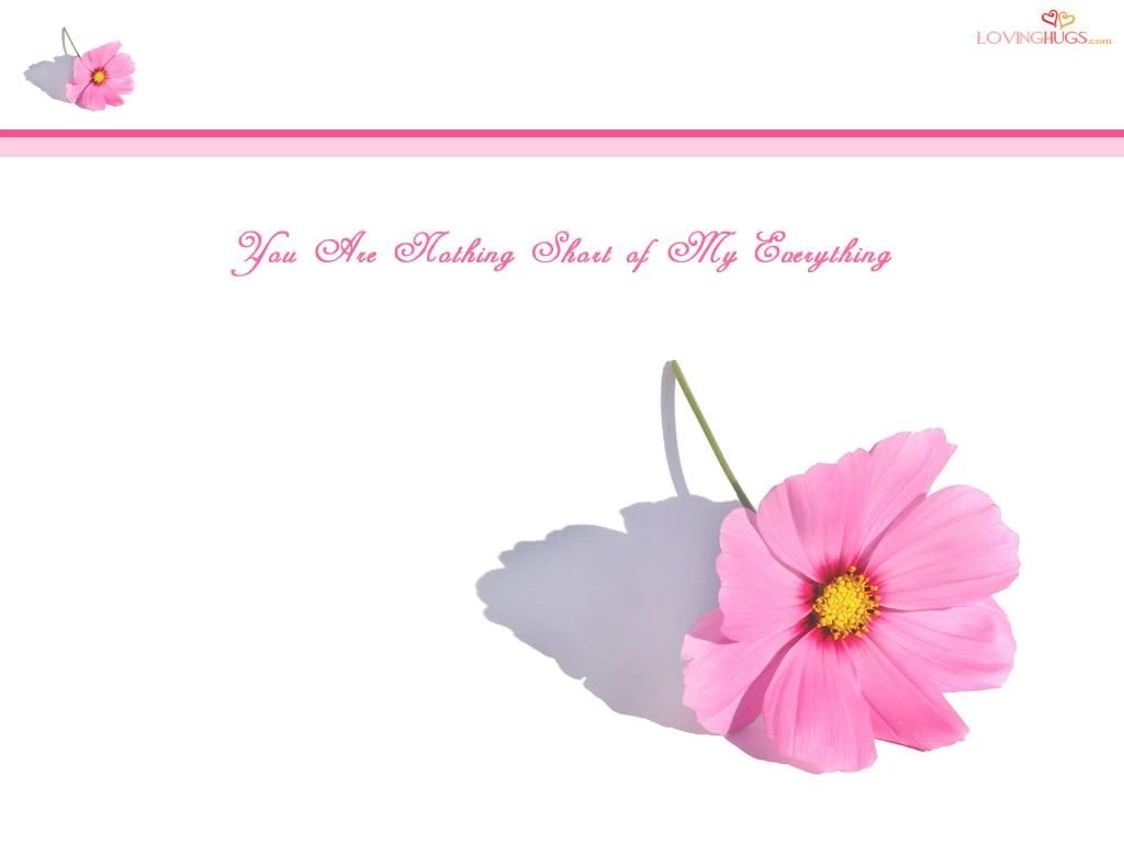 Love Wallpapers  My Everything