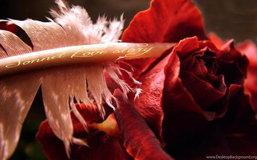 A SONNET FOR MY LOVE WALLPAPER   (