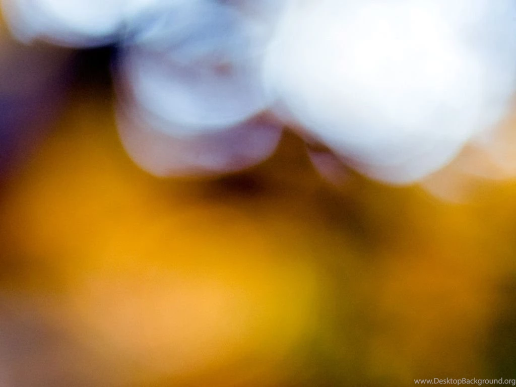 Royalty Free Images Free Download   HD Wallpapers Pretty