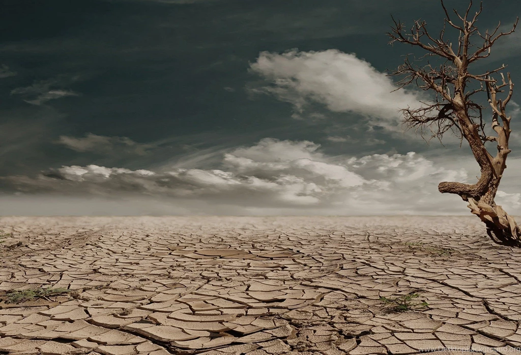 Royalty Free Wallpapers Widescreen 2 HD Wallpapers ...