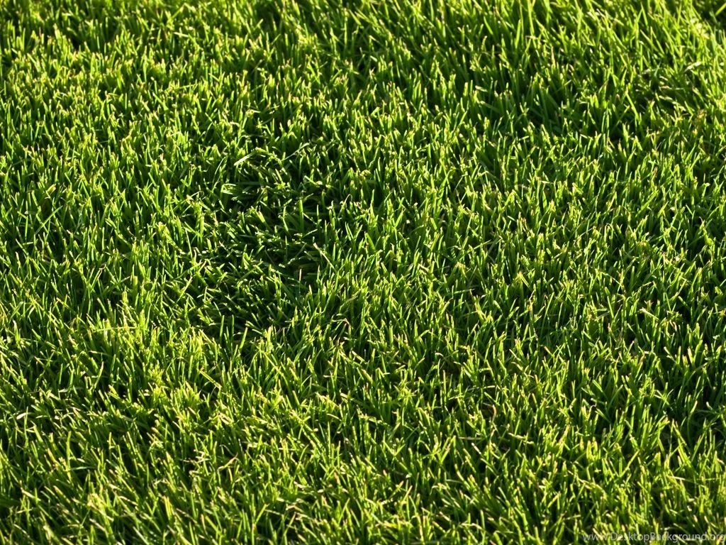 Royalty Free Images Free Download   HD Wallpapers Pretty