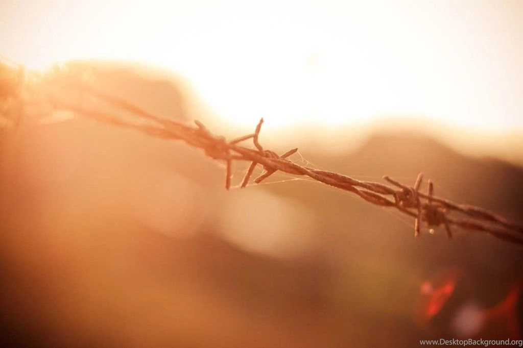 Royalty Free Wallpapers