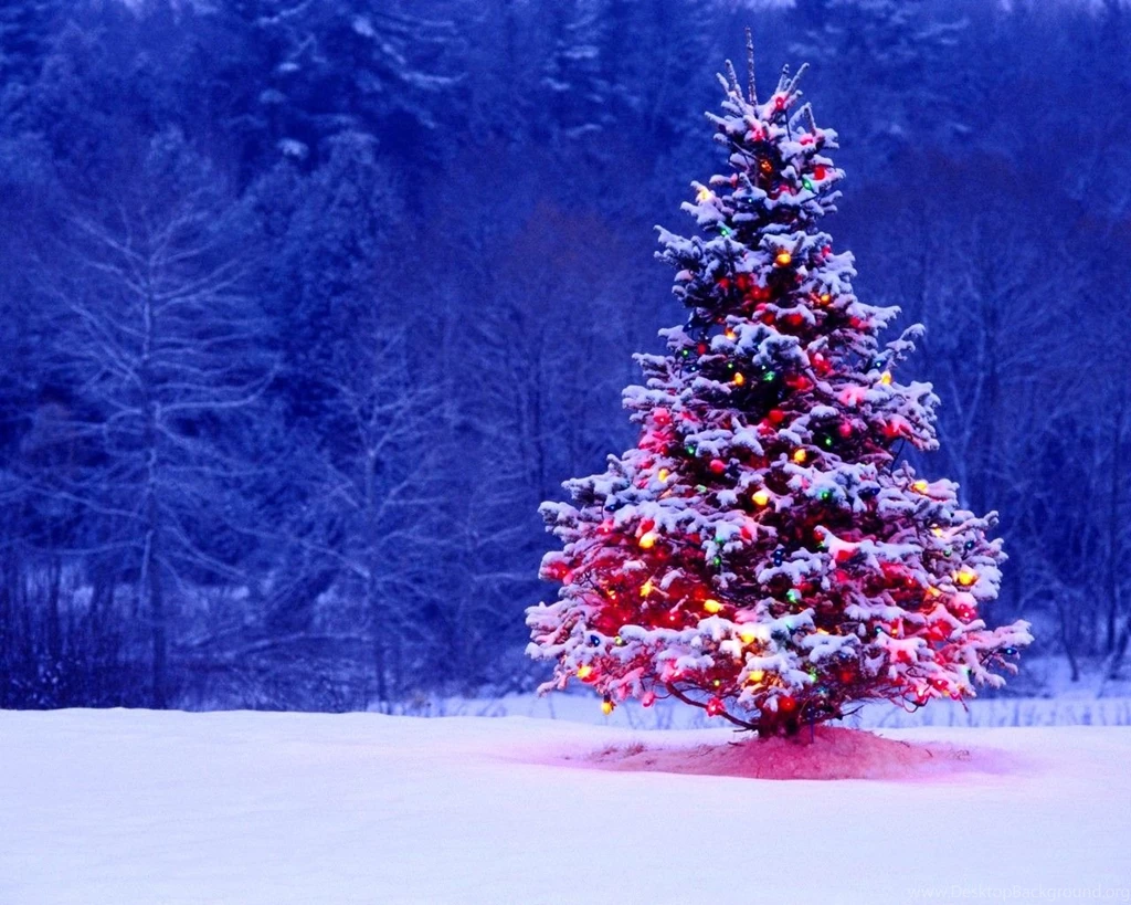 Animated Christmas Wallpapers Free Download Winter Christmas Tree ...