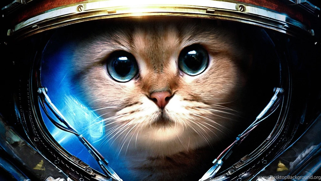 Funny tumblr backgrounds cat astronaut 1920x1080.jpg