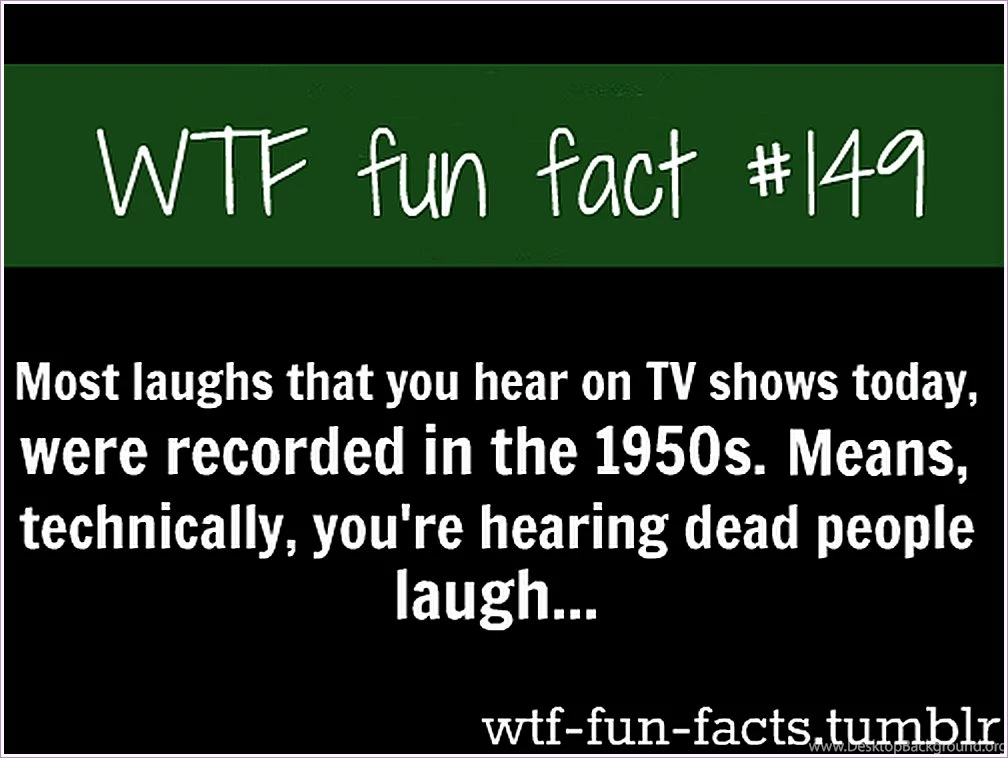 Images wtf fun_2.png