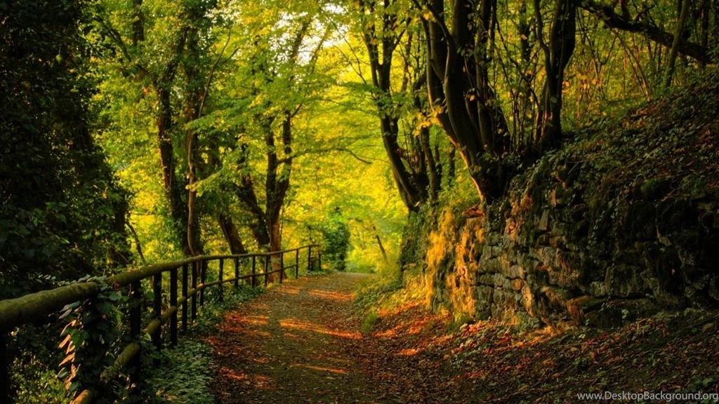 Free Download Download Free Aprilia Racing Tapety Na Pulpit Real ...