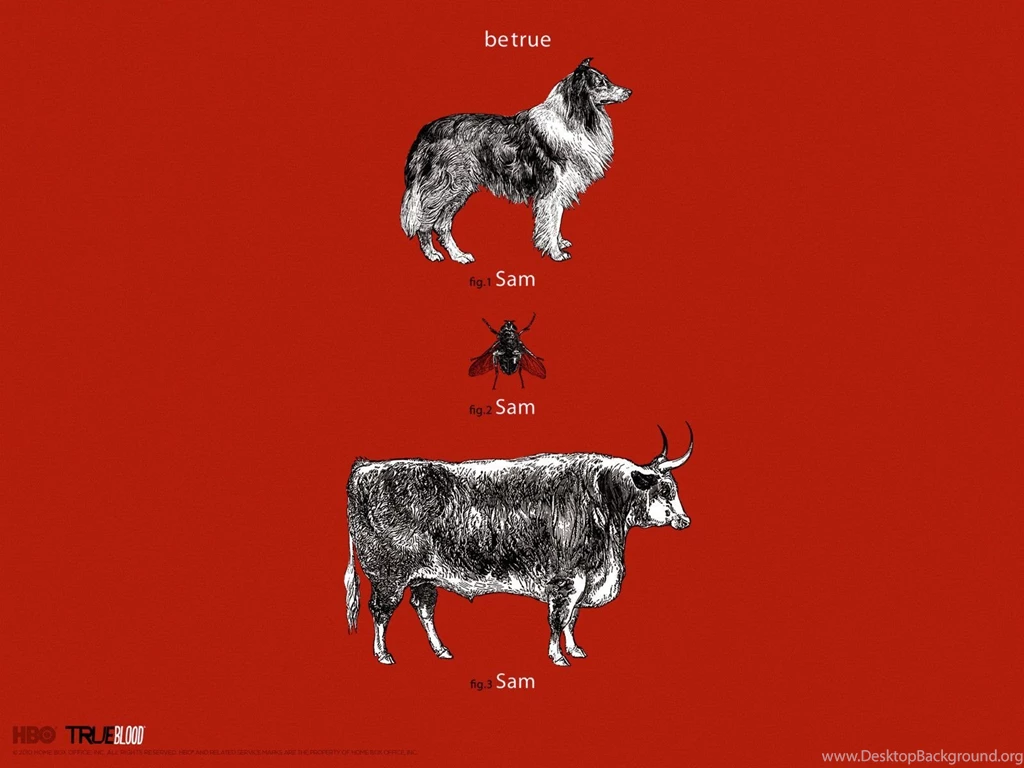 Hbo True Blood Wallpapers Wallpapers Cave