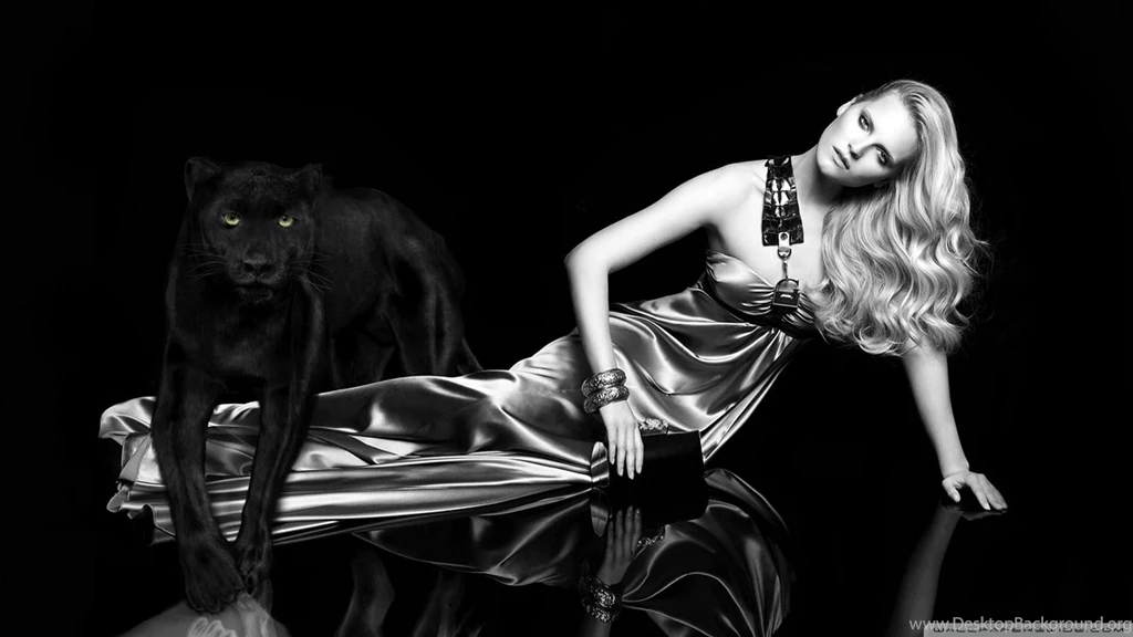 Blondes Women Panthers Fashion Photography Black Backgrounds ...