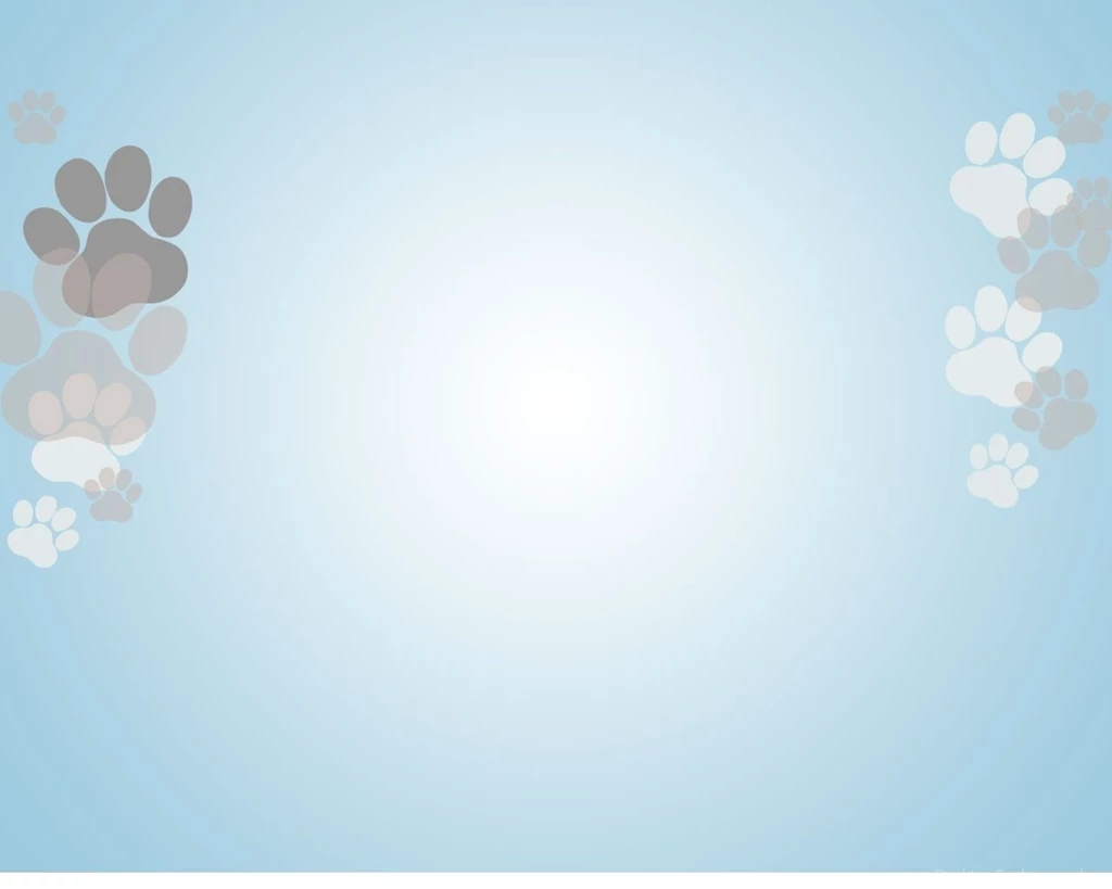 Welcome To Wagg & Walk Dog Walking Service Southampton