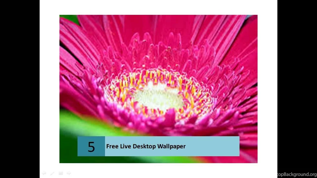 Beautiful Free Live Desktop Wallpapers YouTube