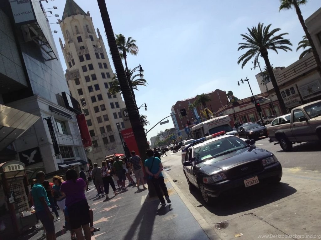 LAPD Watchdogs Question Why Officers Are Rarely Found Guilty Of ...