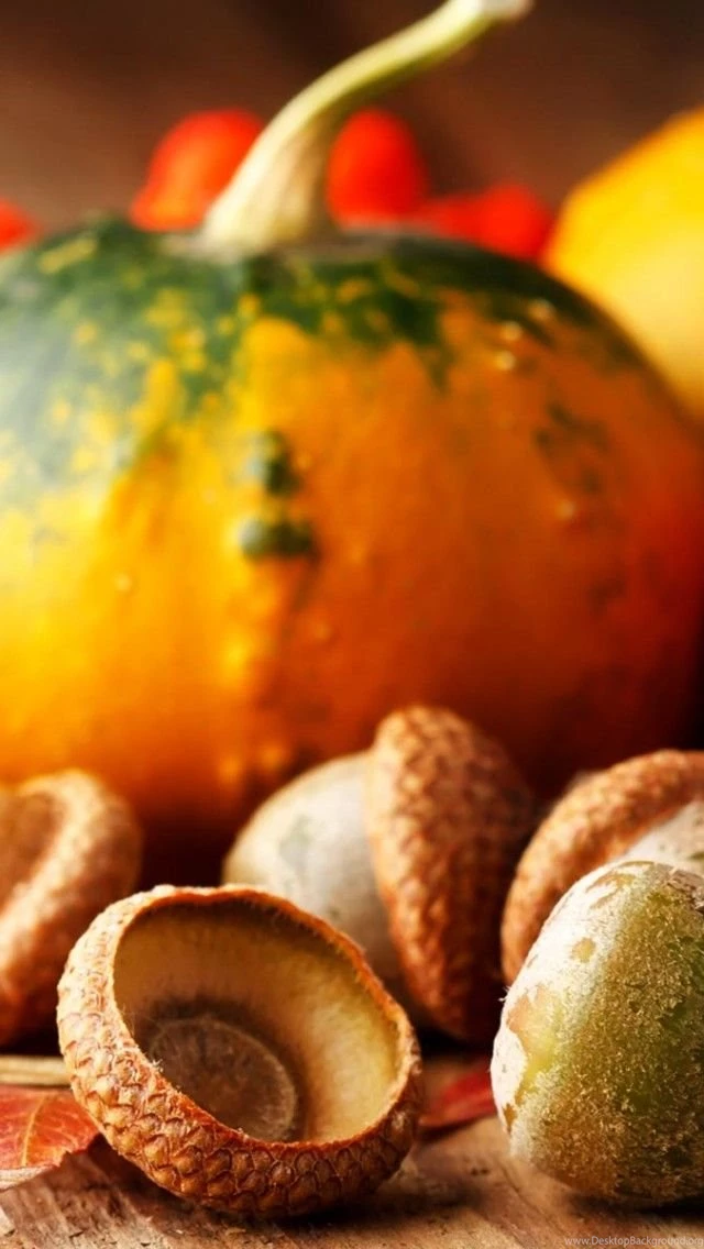 Wallpapers Weekends: Thanksgiving Harvest