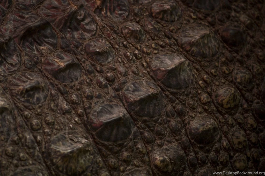 Croc Skin Stock By Toshema On DeviantArt