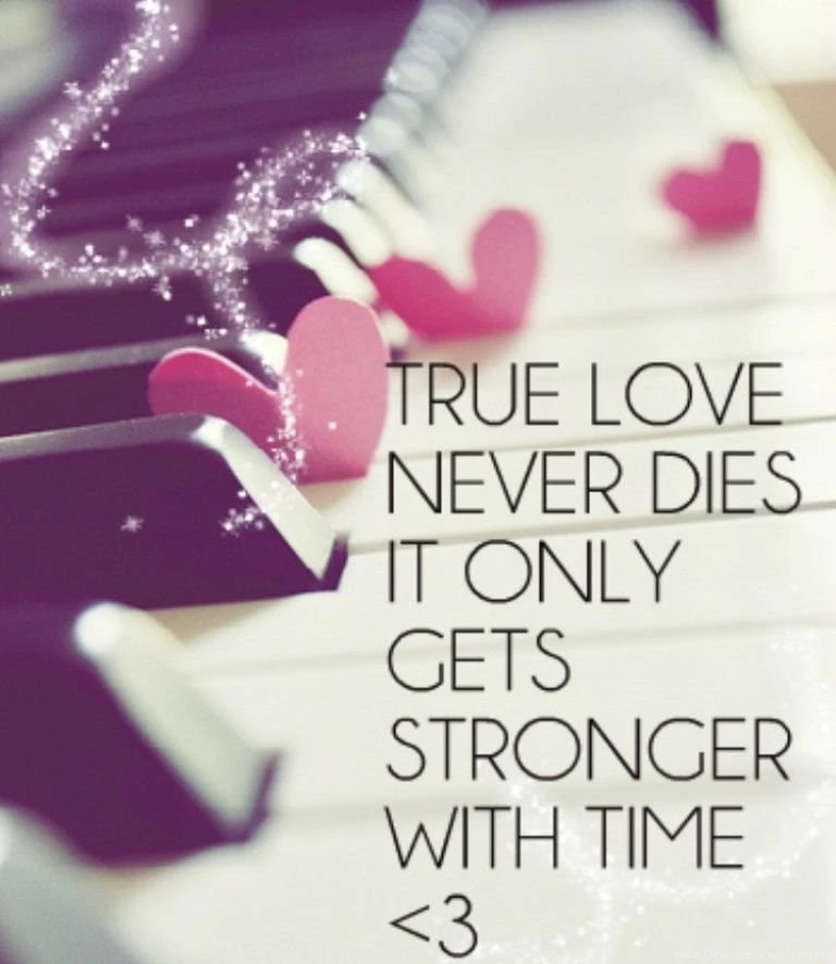 Love Quotes Wallpaper Download Free 56 5.jpg