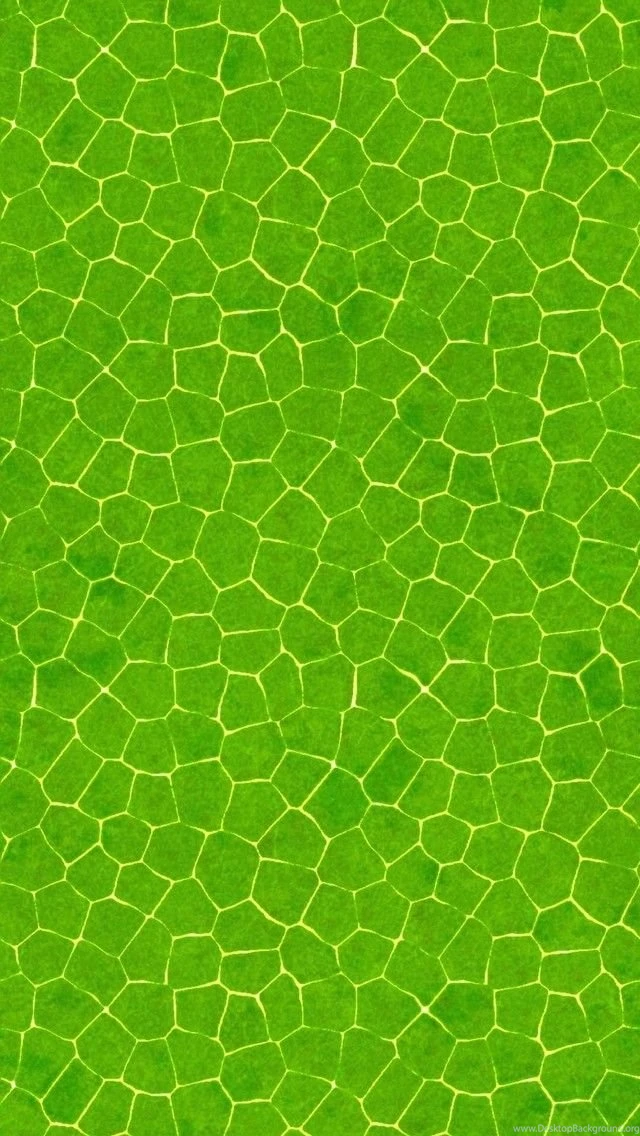 Crocodile Skin Pattern Mobile Wallpapers 4647