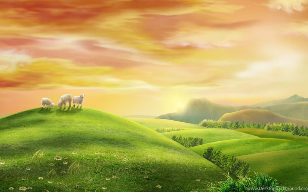 Lambs On The Green Field Wallpapers