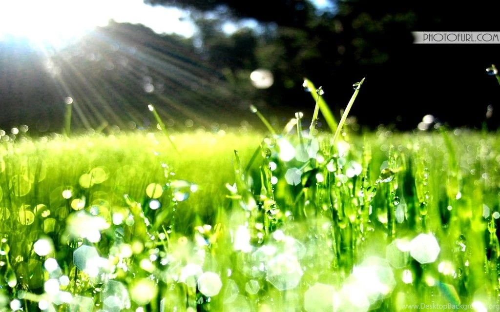 Apple Ipad High Resolution Wallpapers: Ipad Backgrounds