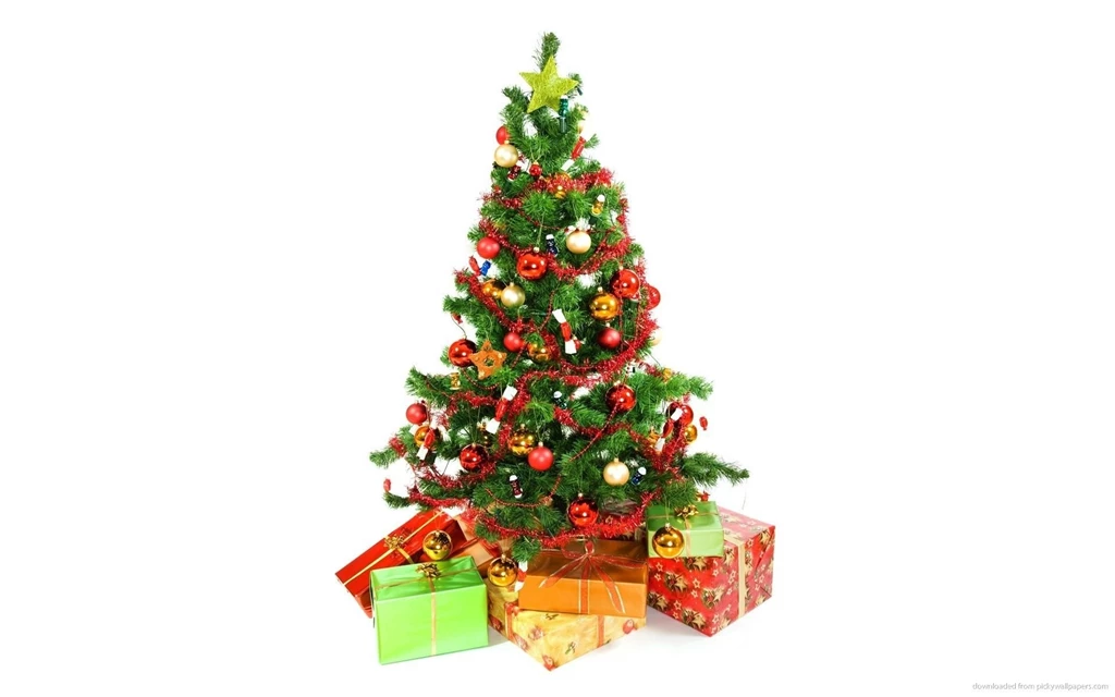 Download 1920x1200 Christmas Tree With Presents Underneath On A ...