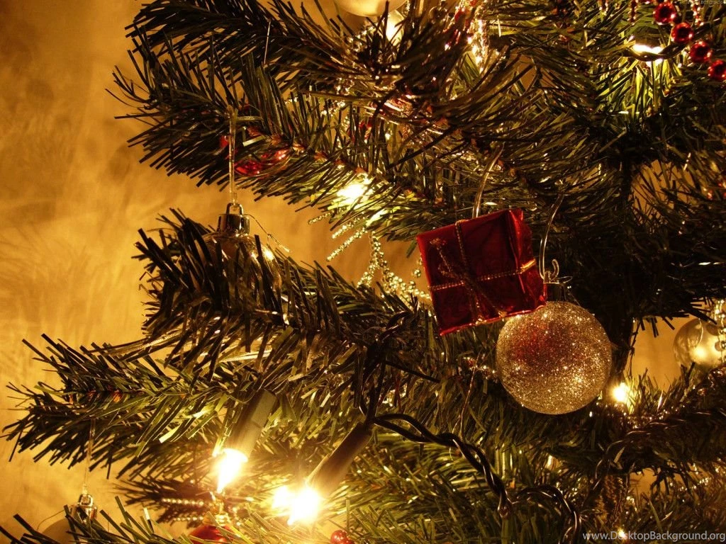 Gallery For Christmas Tree Photography Wallpapers
