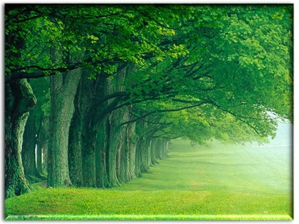 Interesting Backgrounds 8.jpg