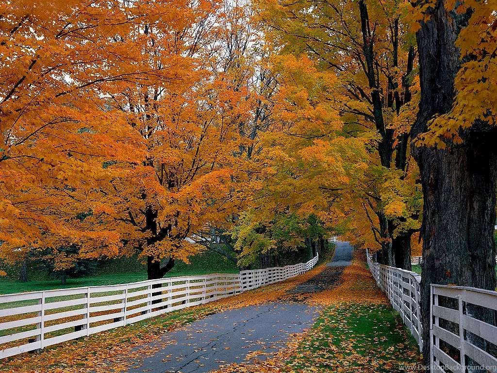 Fall Thanksgiving Wallpapers   Wallpapers Cave