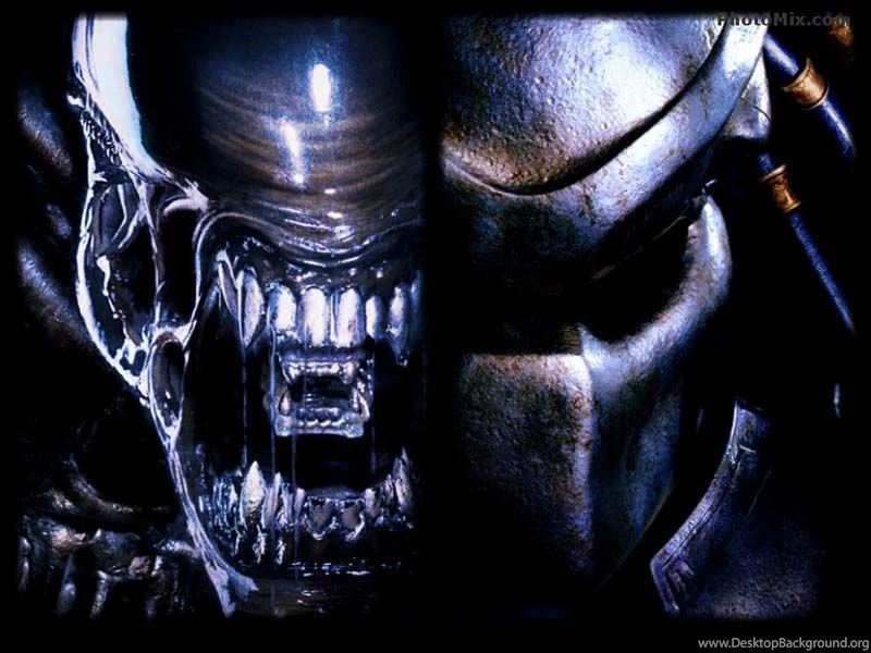 DC Movie Wallpapers » Alien Vs Predator