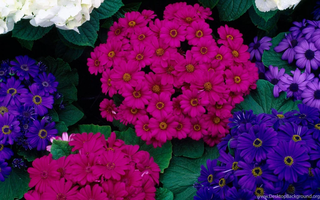 Beautiful Spring Spring Wallpapers (27865561) Fanpop