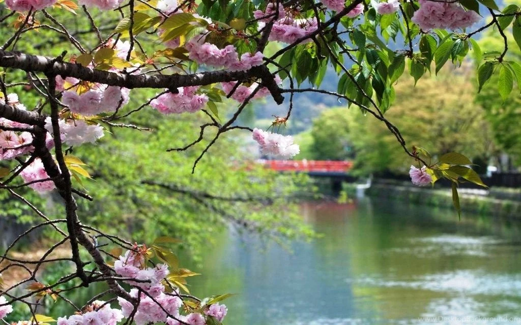 Spring Wallpapers For Desktop ~ Toptenpack.com