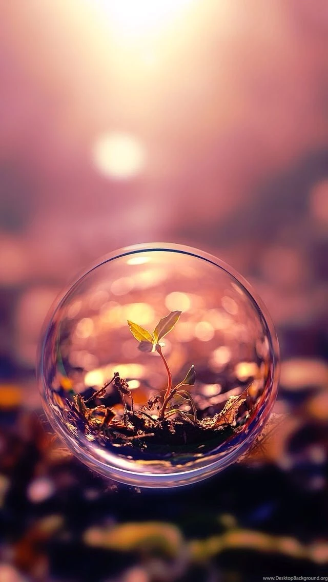 26 Amazing iPhone 5 Wallpapers Updated On August   JailbreakiOSX ...