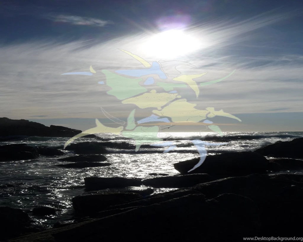 Sepultura Ocean Wallpapers By Sheshdd On DeviantArt