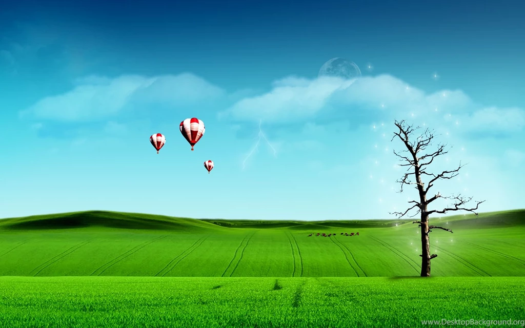 Nature World, Strange, 1920x1200 Wallpapers And Free Stock Photo