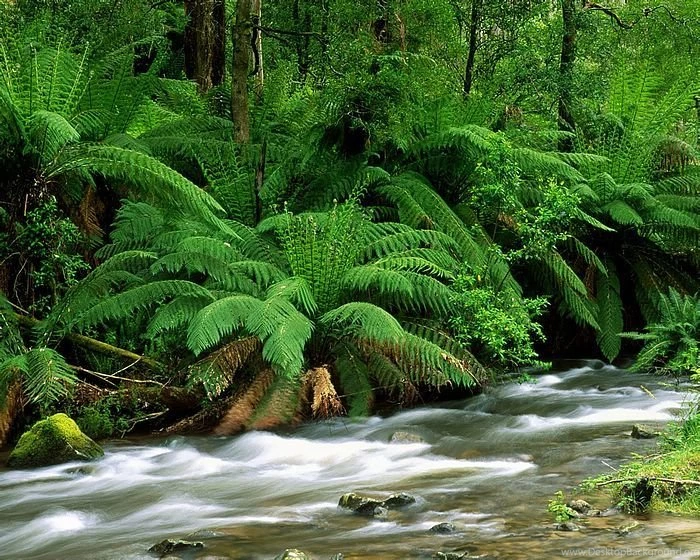 Beautiful Nature Photography Wallpapers 12   Wallcoo.net