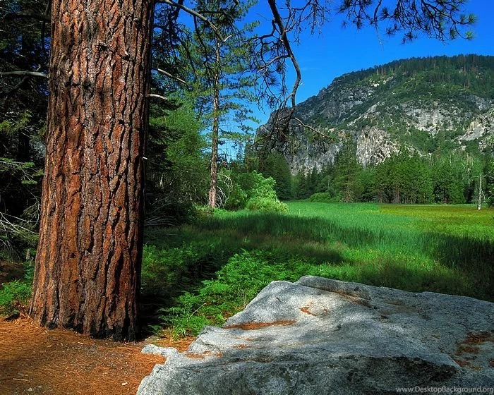Pristine Beauty Of The Nature Nature Landscape Wallpapers 18 ...