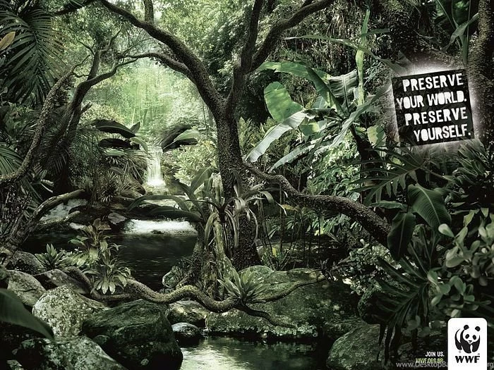 WWF World Wide Fund For Nature (WWF) PSAs Wallpapers 31297 ...