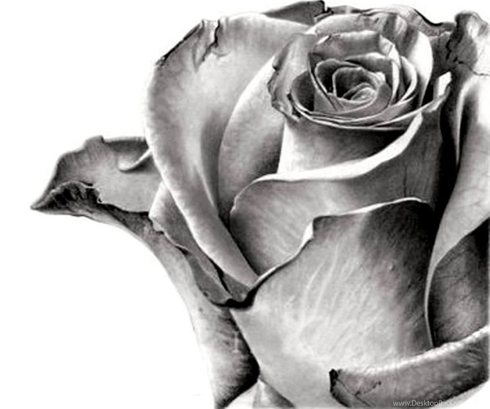 Android Wallpapers Free Blog: Android Wallpapers Free Download