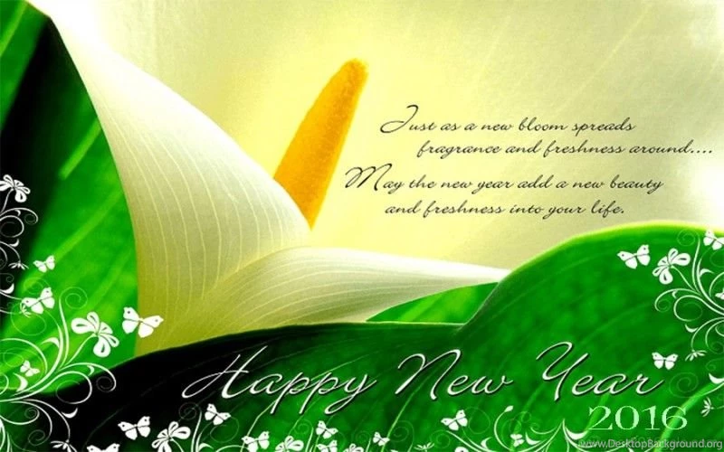 2016 New Year Wallpapers Free Download