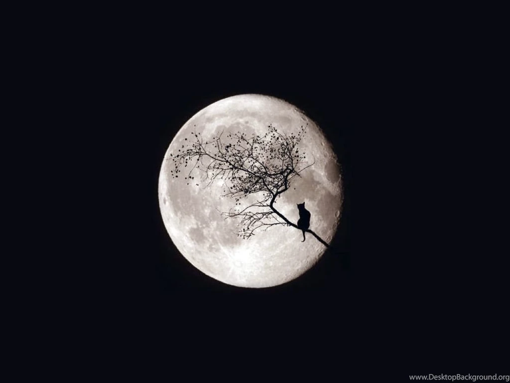 BLACK Art Backgrounds Wallpapers Image HD