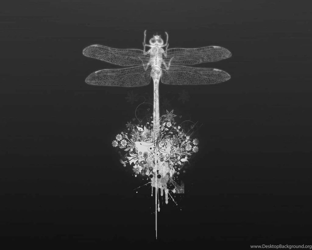 HD Wallpapers: Dragonfly Wallpapers