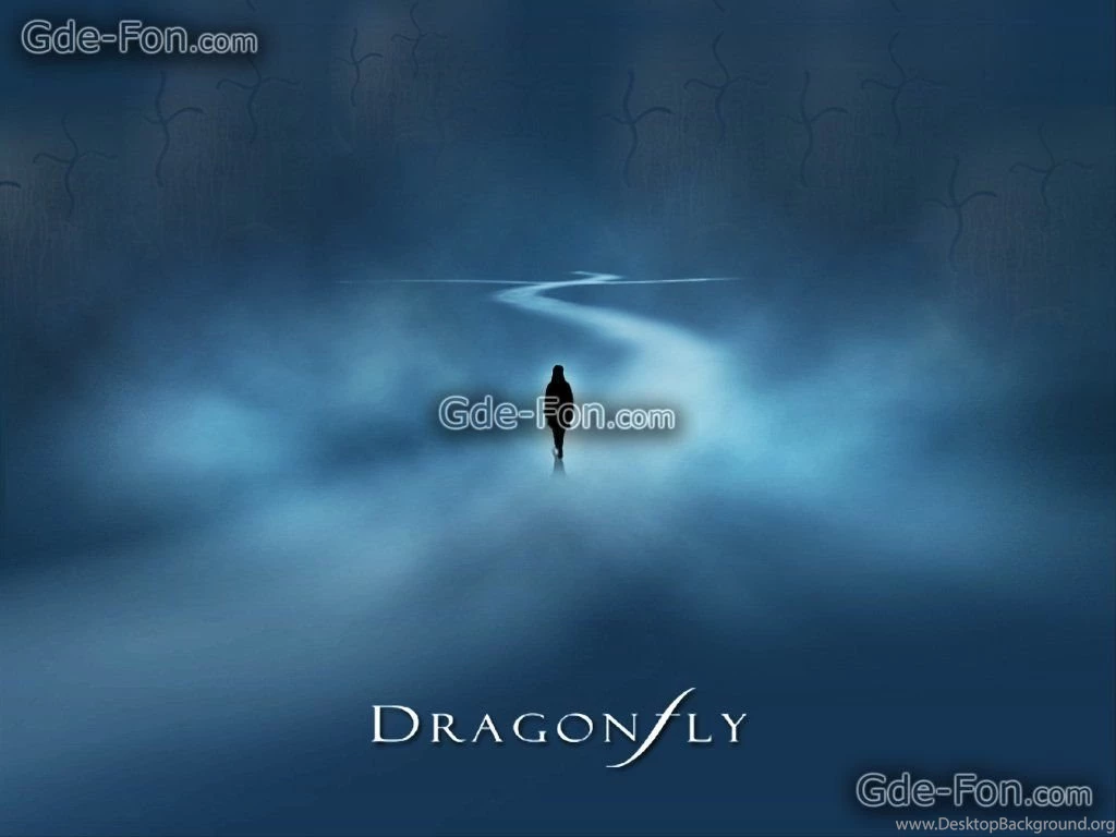 4791_strekoza_or_dragonfly_1024x768_www.Gde Fon.com.jpg