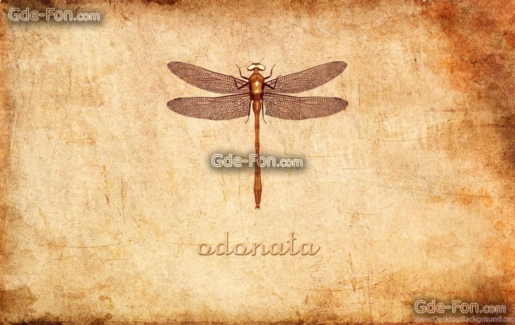 386204_odonata_strekoza_tekstura_bumaga_papirus_stil_1900x1200_www.Gde Fon.com.jpg