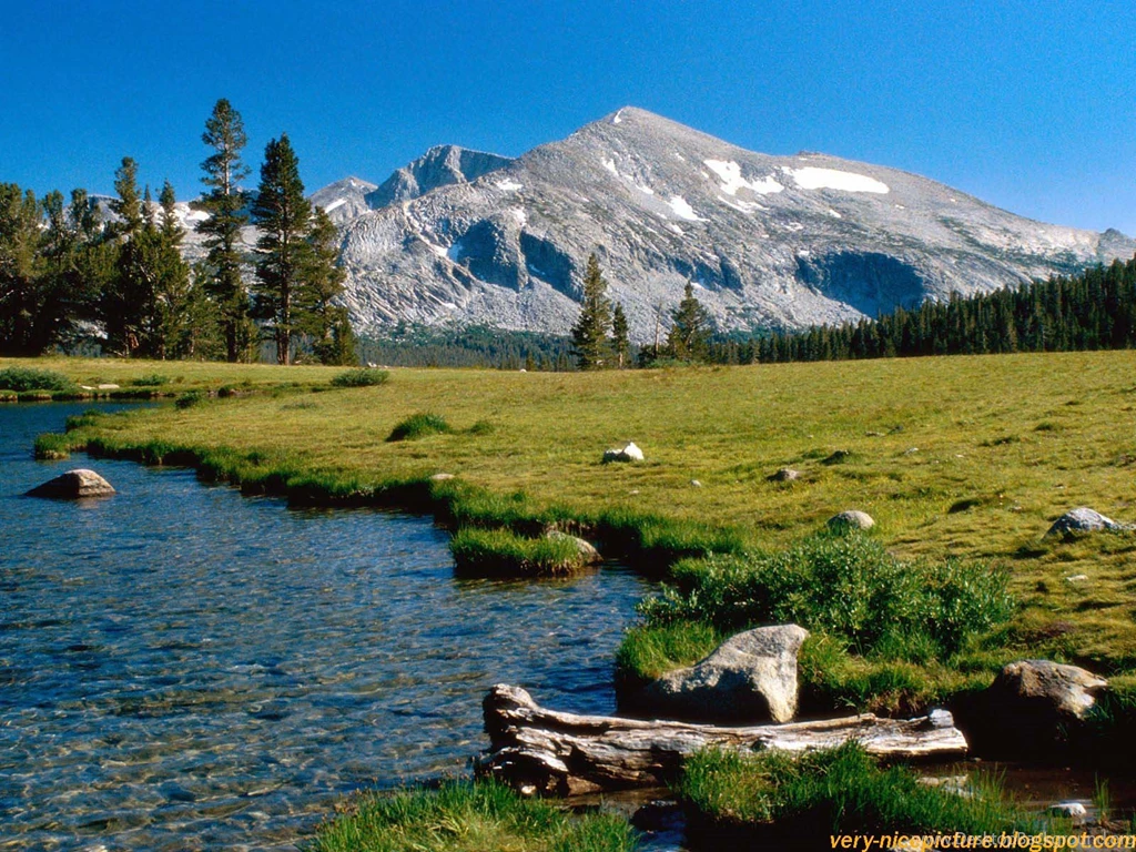 Nice Wallpapers Download