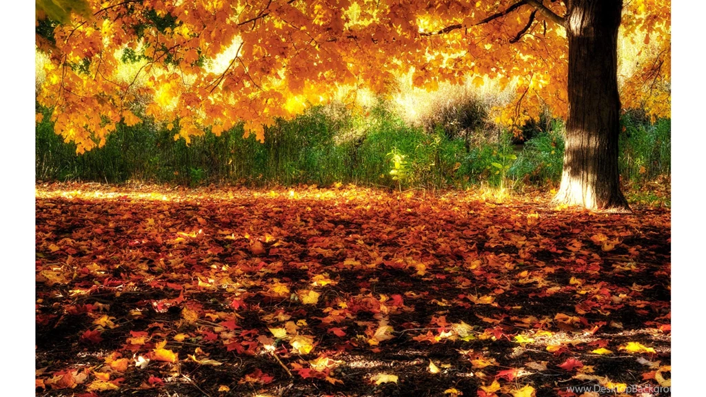 Best 2016 4K Fall Wallpapers