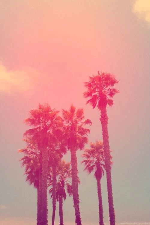 Hipster Phone Backgrounds