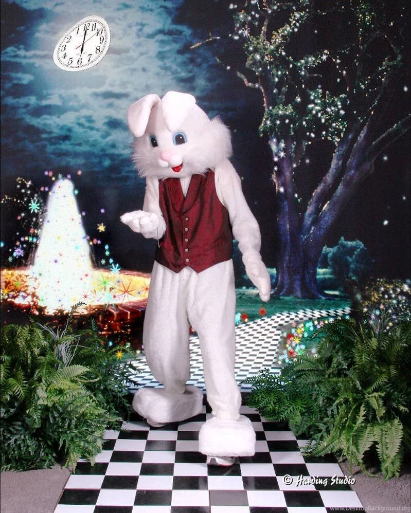 The Backgrounder June 2007 Issue