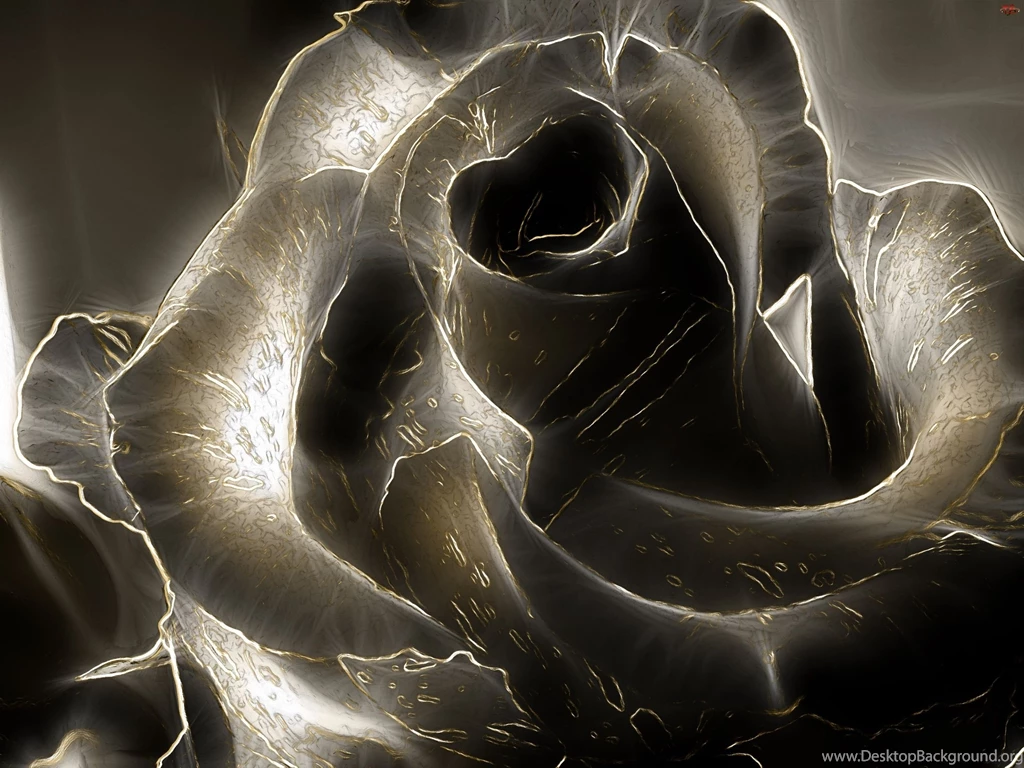 Black Roses Wallpapers HD.jpg