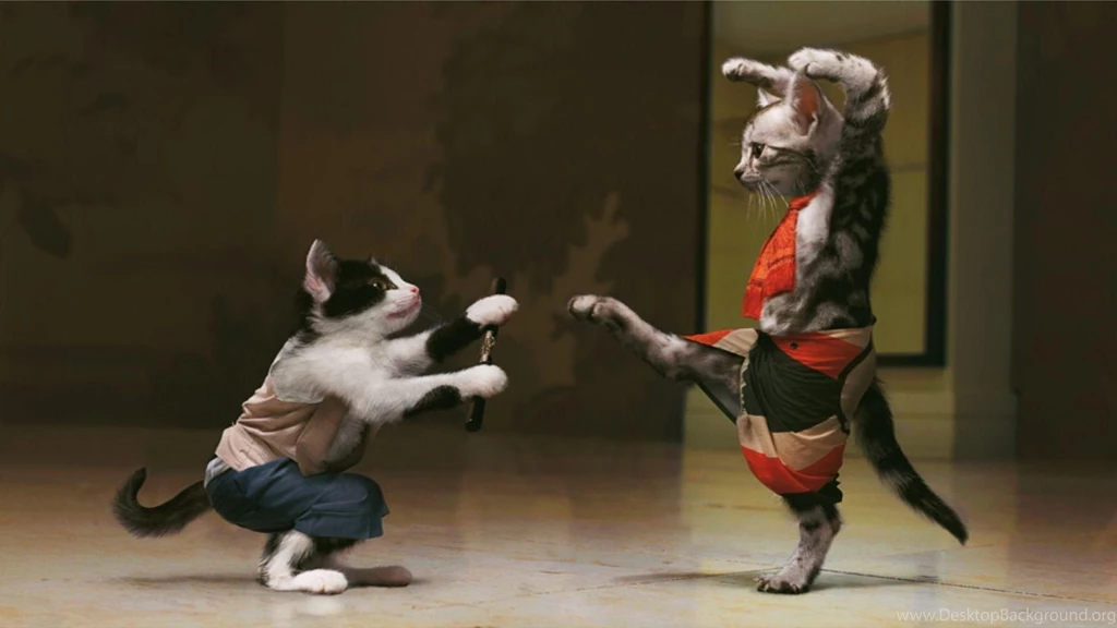 Martial Arts HD Wallpapers